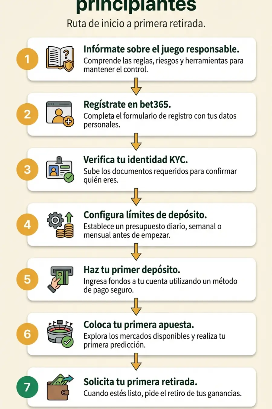 Infografía: los 7 pasos para principiantes en bet365